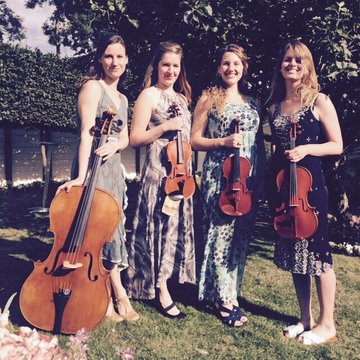 The Hummingbird String Quartet's profile picture