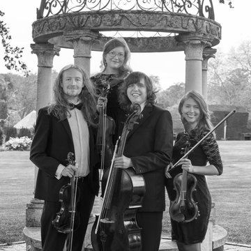 Hire Aderyn String Quartet Classical ensemble with Encore