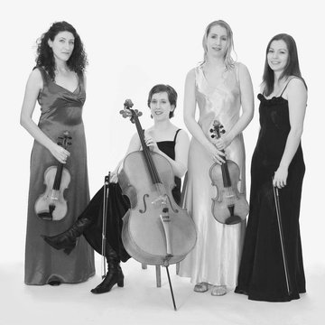 Ivy String Quartet's profile picture