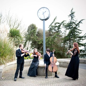 Hire Leon String Quartet String duo with Encore