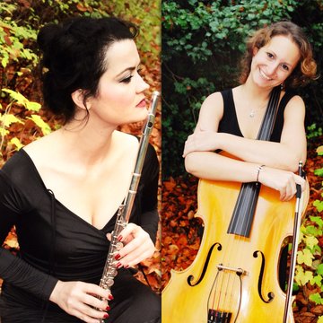 Londuo Flute & Cello's profile picture