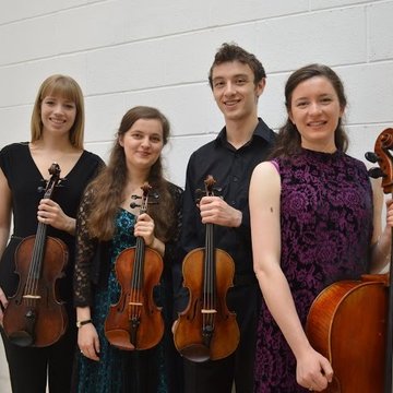 Gallina String Quartet's profile picture