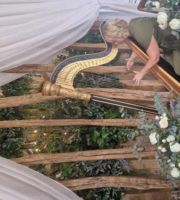 Hire Maxine Molin  Harpist with Encore