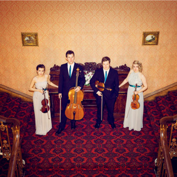 Rylands String Quartet's profile picture