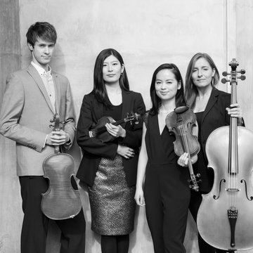 Dulcinea Quartet's profile picture