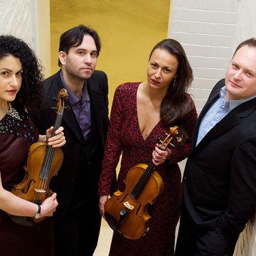 Spirituoso String Quartet's profile picture