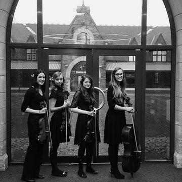 Rosea String Quartet's profile picture
