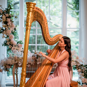 Hire Glenda Allaway Celtic harpist with Encore