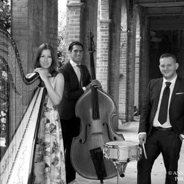 The Tara Minton Quartet's profile picture