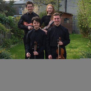 Dublin Youth Quartet's profile picture