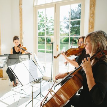 Quattro String Quartet's profile picture