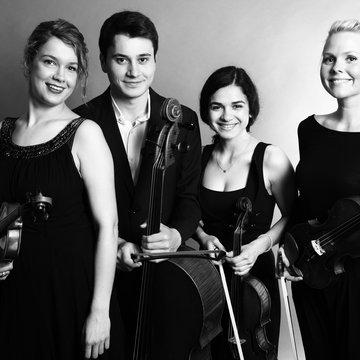 Vaska string  quartet's profile picture