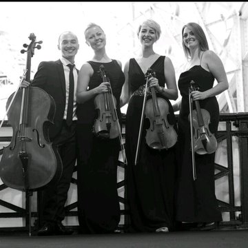 Hire Vaults Quartet String quartet with Encore