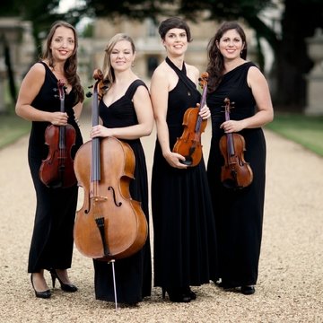 Romanza String Quartet's profile picture