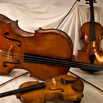 Hire String Trio Delights Classical trio with Encore