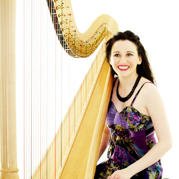 Hire Elfair Dyer Harpist with Encore