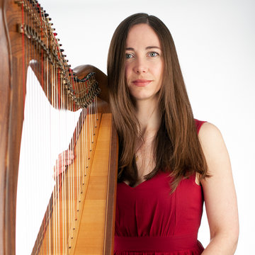 Hire Susan Lambert Celtic harpist with Encore