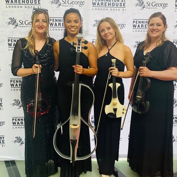 Hire Storm Electric/Acoustic String Act String trio with Encore