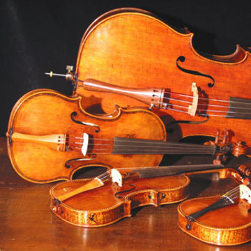 The Cantabile String Quartet's profile picture