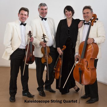 Hire Kaleidoscope String Quartet String ensemble with Encore