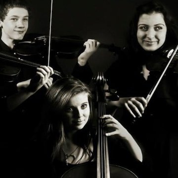 Ridente String Trio/Quartet's profile picture