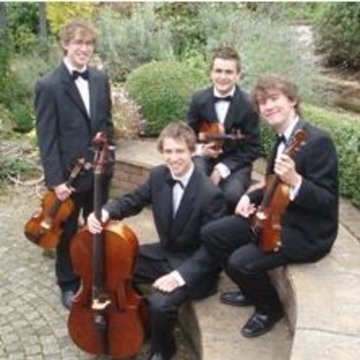 Swan and Three String Quartet's profile picture