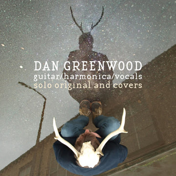 Dan Greenwood's profile picture