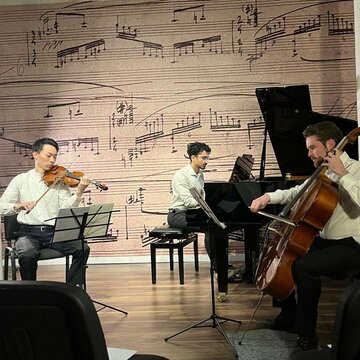 Hire The Dowling Trio Piano trio with Encore