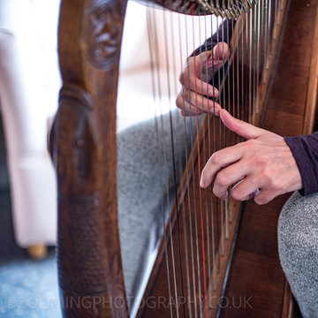 Hire Meta Killick Celtic harpist with Encore