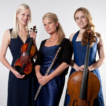 Hire Brook Trio Classical ensemble with Encore