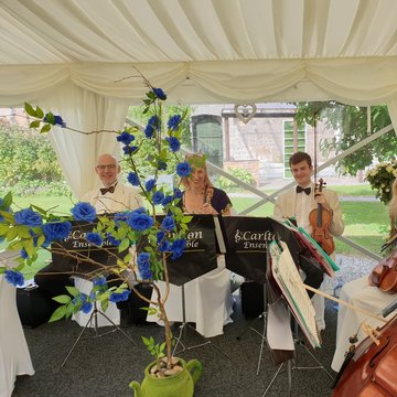 Hire Carlton Ensemble String quartet with Encore