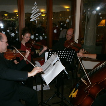 Amoroso String Quartet's profile picture