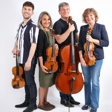 The Element String Quartet, Trio & Duo's profile picture