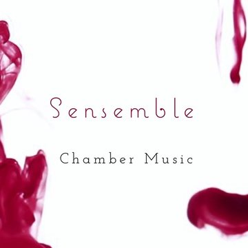 S'ensemble Music's profile picture