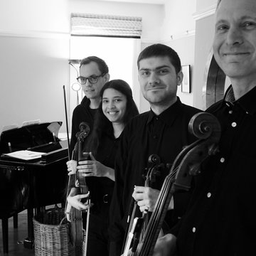 Hire Art-Ludeus String quartet with Encore
