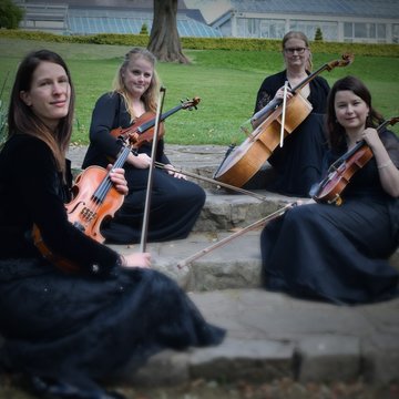 Hire Andante String Quartet String ensemble with Encore