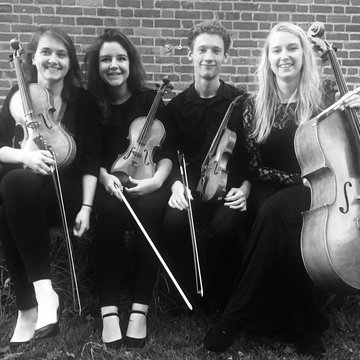 Mowbski String Quartet's profile picture