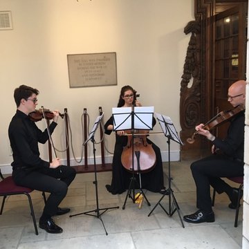 The Filum String Trio's profile picture