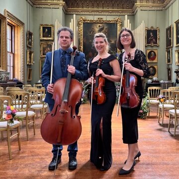 Hire Natalya Strings Acoustic trio with Encore