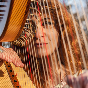 Hire Sam MacAdam Harpist with Encore