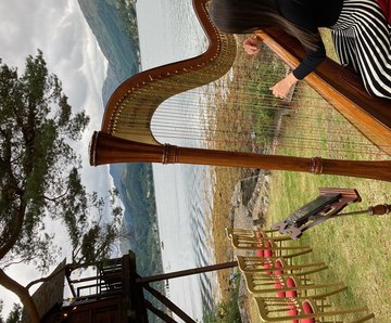 Hire Aimee Clark Harpist with Encore