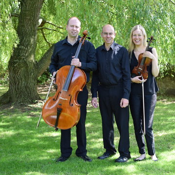 Derbyshire Musicians for Weddings and Events's profile picture