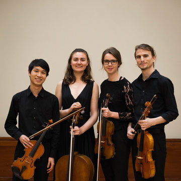 The Sedici Quartet's profile picture