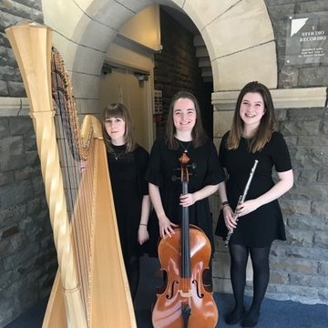 Hire Willow Trio Flute and harp duo with Encore