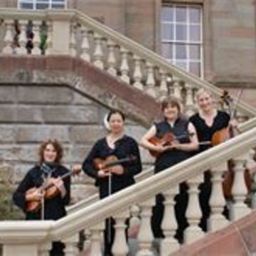 VLO String Quartet's profile picture