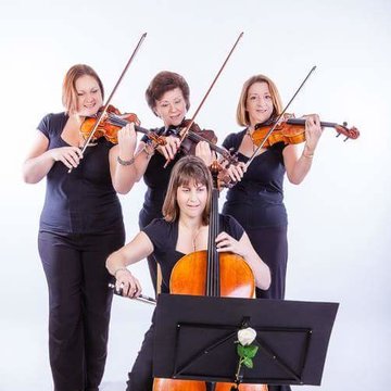 Hire The Parisi String Quartet String quartet with Encore