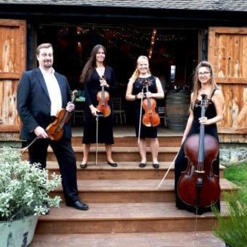 Sussex String Quartet's profile picture