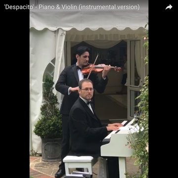 Piano Trio's profile picture