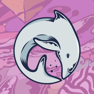 Space Dolphin's profile picture