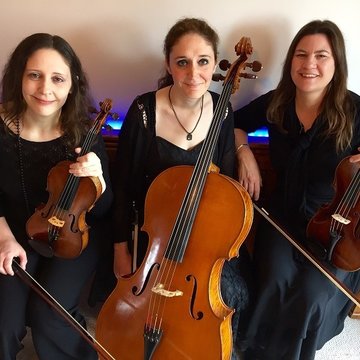 Hire Amity Strings String quartet with Encore